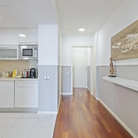 Ola Living Plaza Catalunya Apartment *